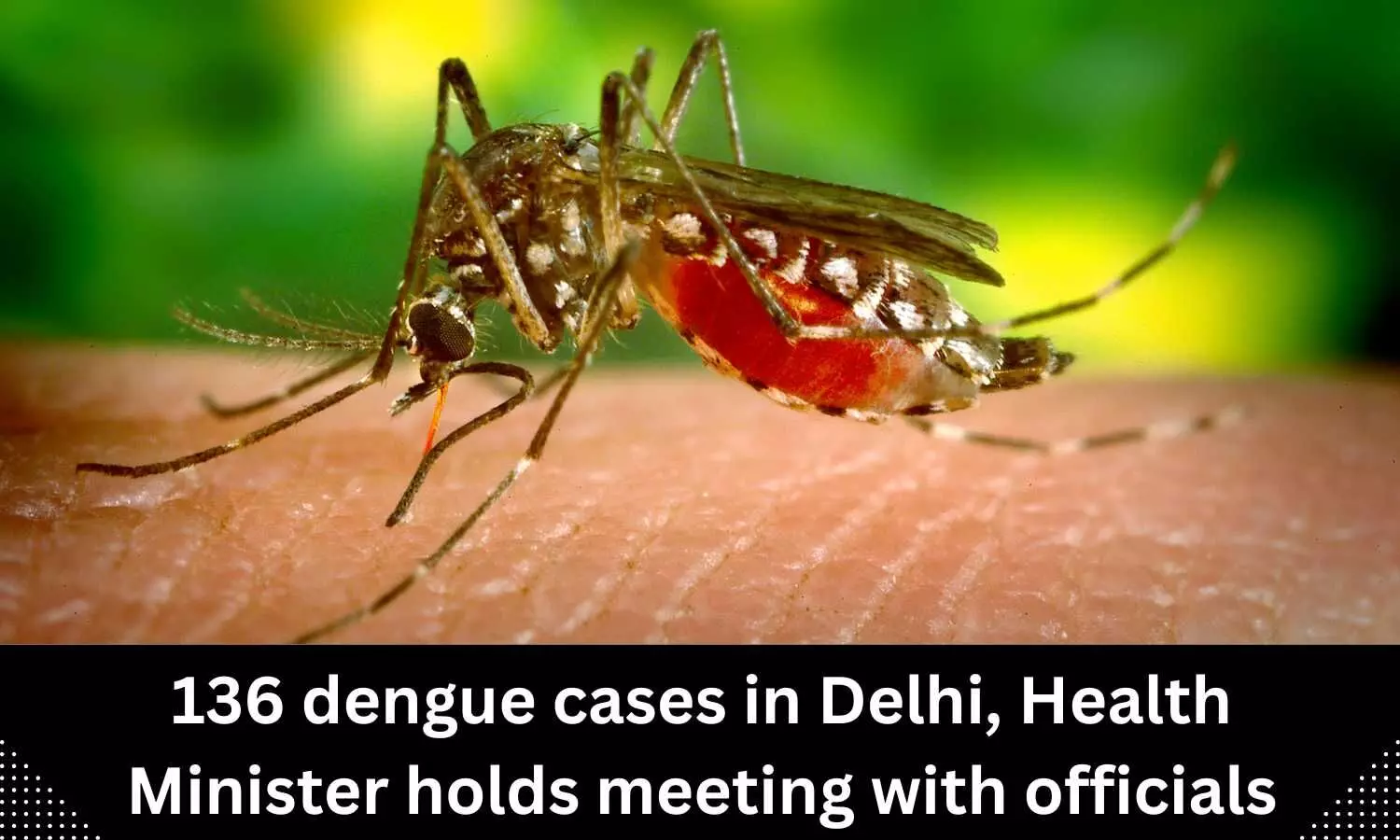 136 dengue cases in Delhi, Health Minister holds meeting with officials