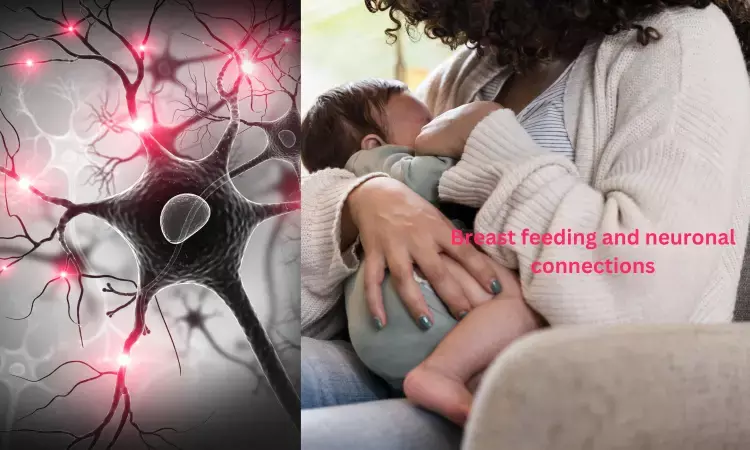 Myo-inositol found in breast milk may enhance neuronal connectivity in brain of infants