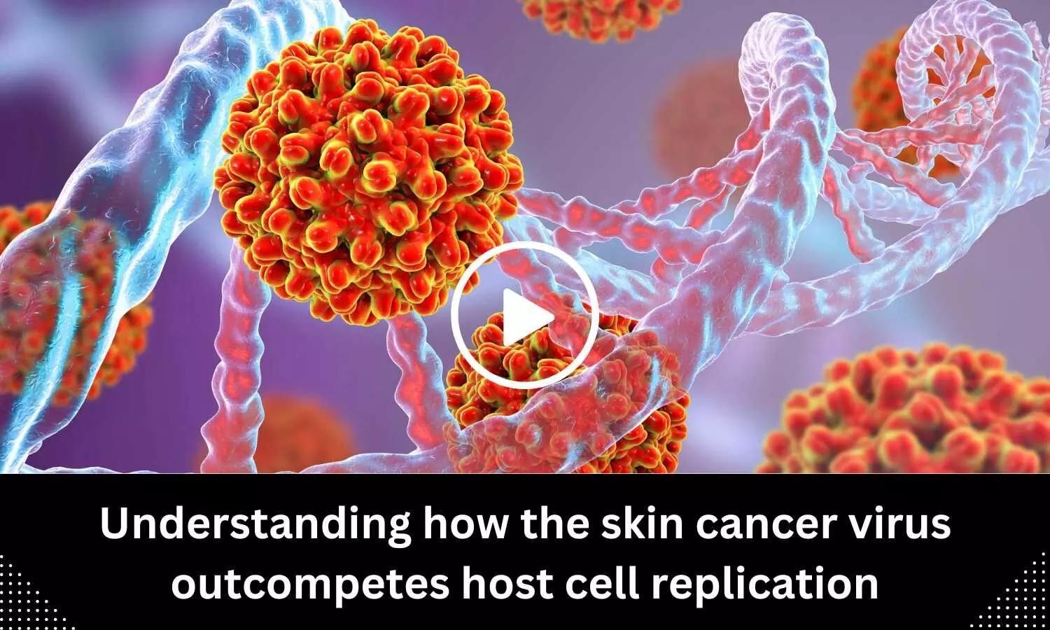 Understanding how the skin cancer virus outcompetes host cell replication