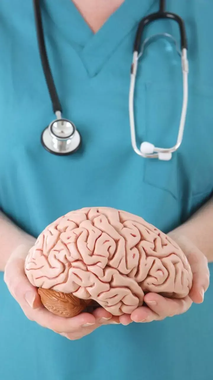 World Brain Day 2023