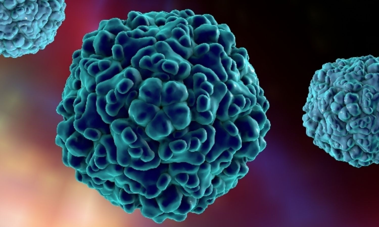 Enterovirus infection linked with risk of islet autoimmunity or type 1 ...