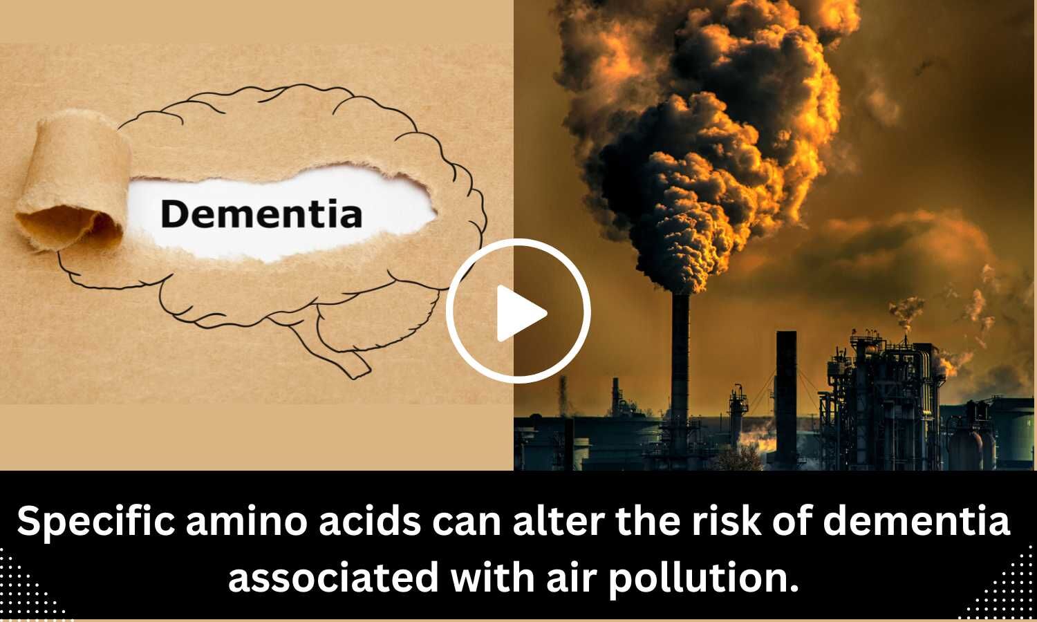 Specific Amino Acids Can Alter The Risk Of Dementia Associated With Air ...