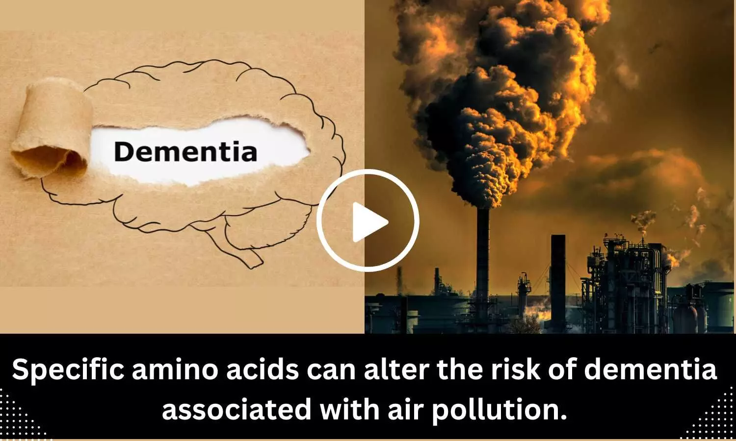 Specific amino acids can alter the risk of dementia associated with air pollution
