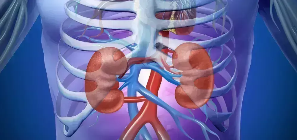 Early initiation of renal replacement therapy fails to improve survival rates in AKI patients