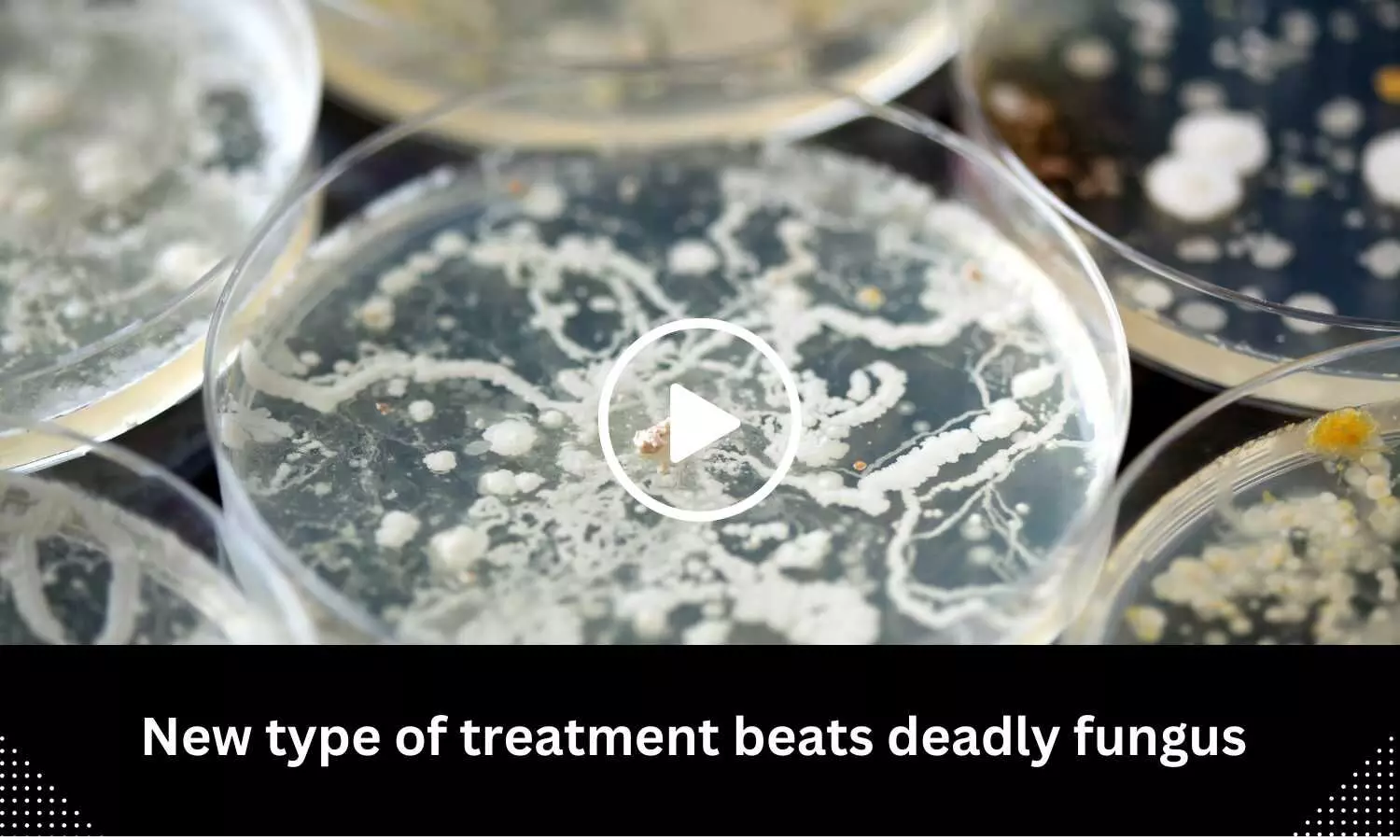New type of treatment beats deadly fungus