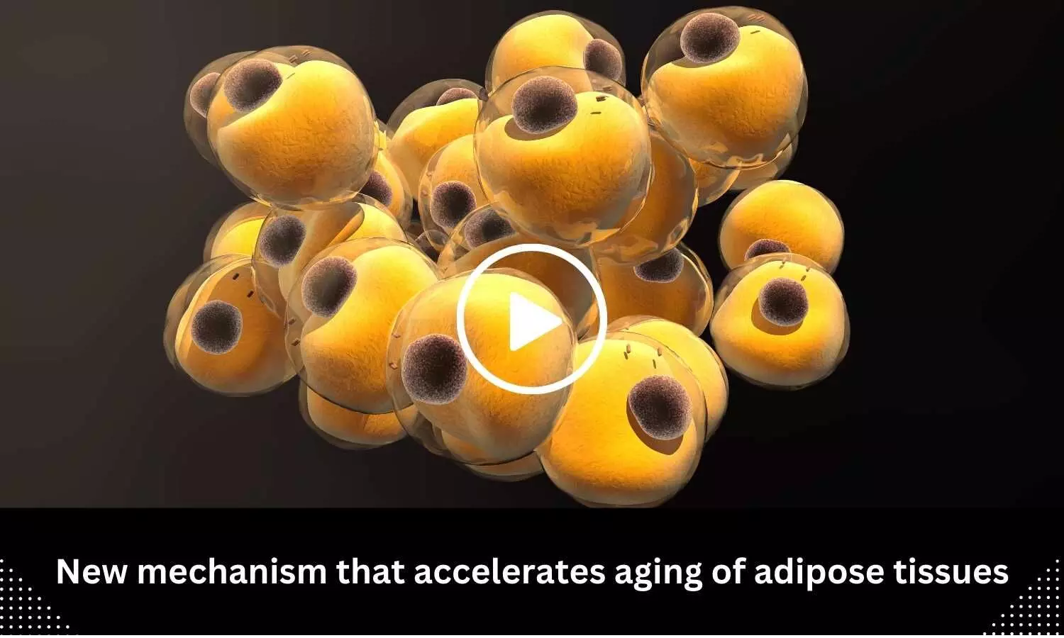 New mechanism that accelerates aging of adipose tissues