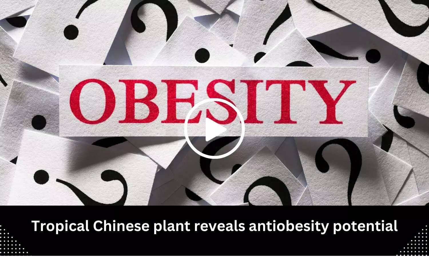 Tropical Chinese plant reveals antiobesity potential
