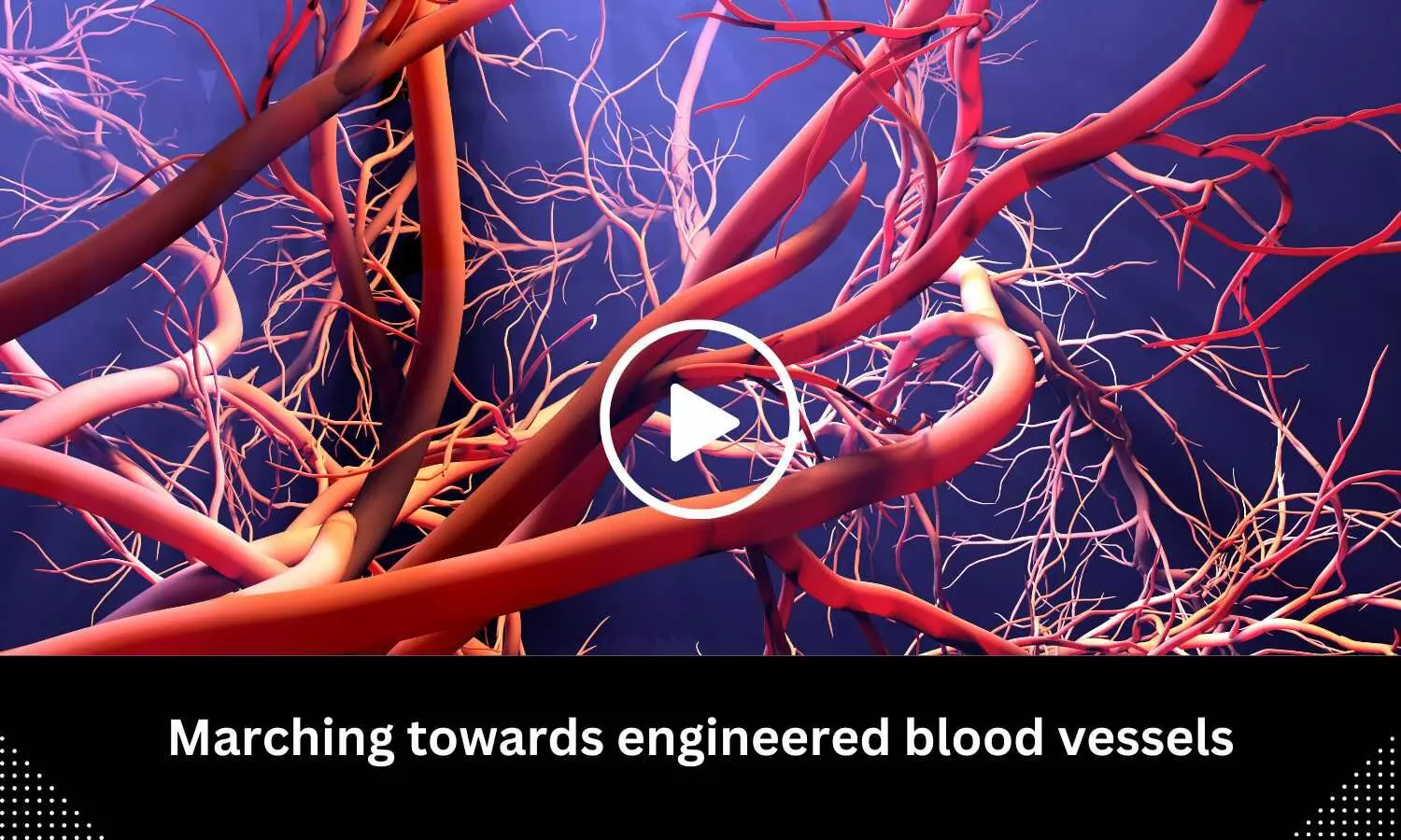 Marching towards engineered blood vessels