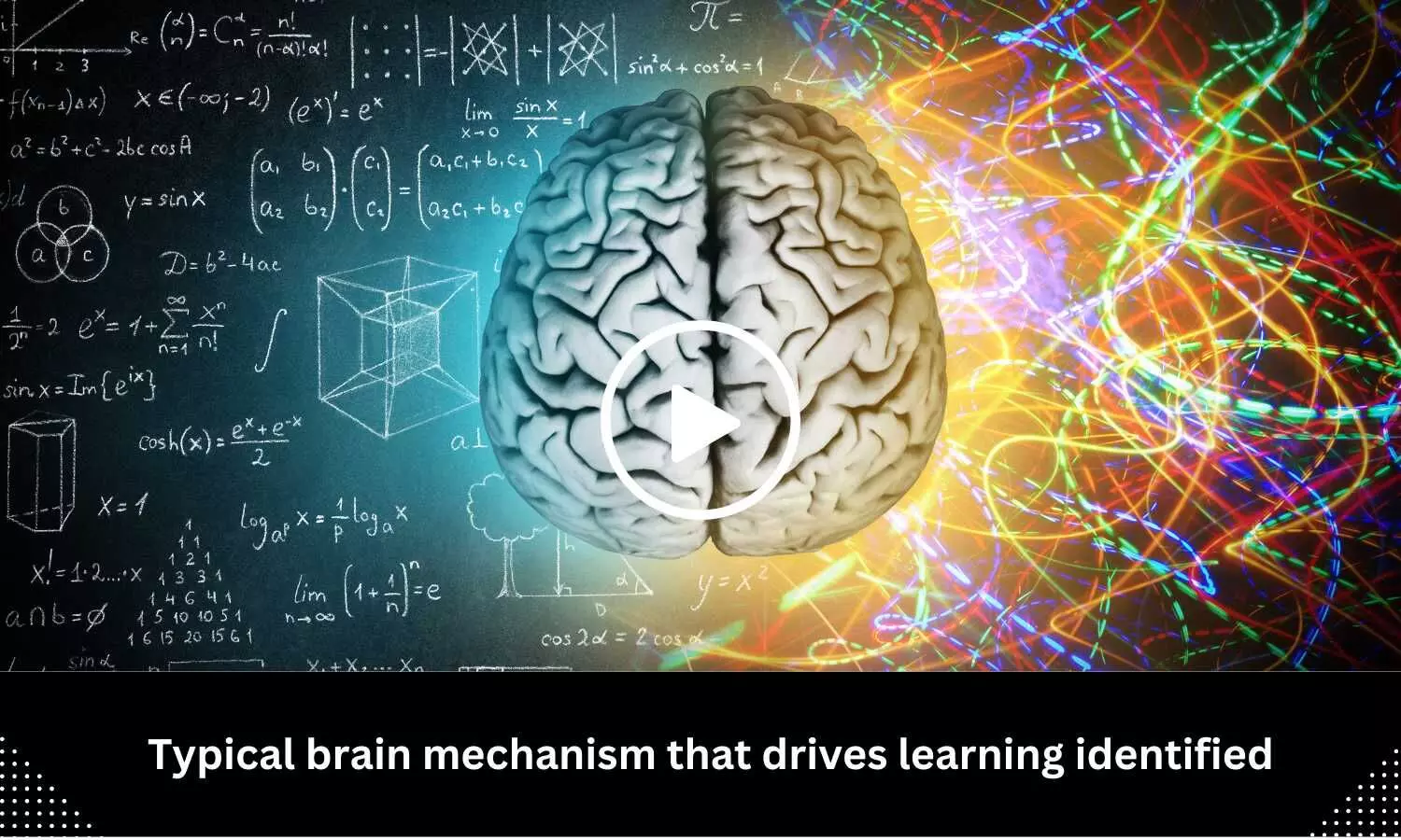 Typical brain mechanism that drives learning identified