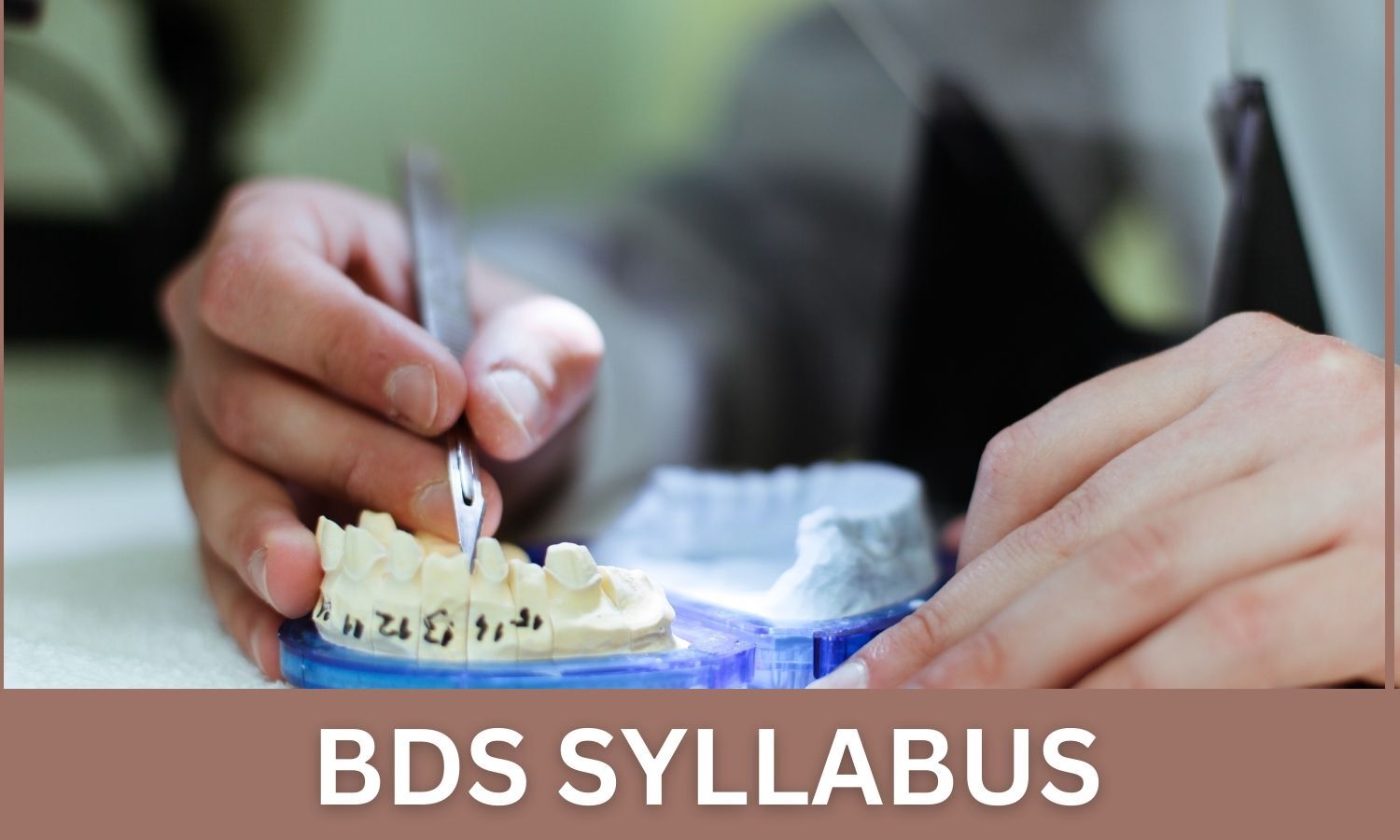 BDS Syllabus