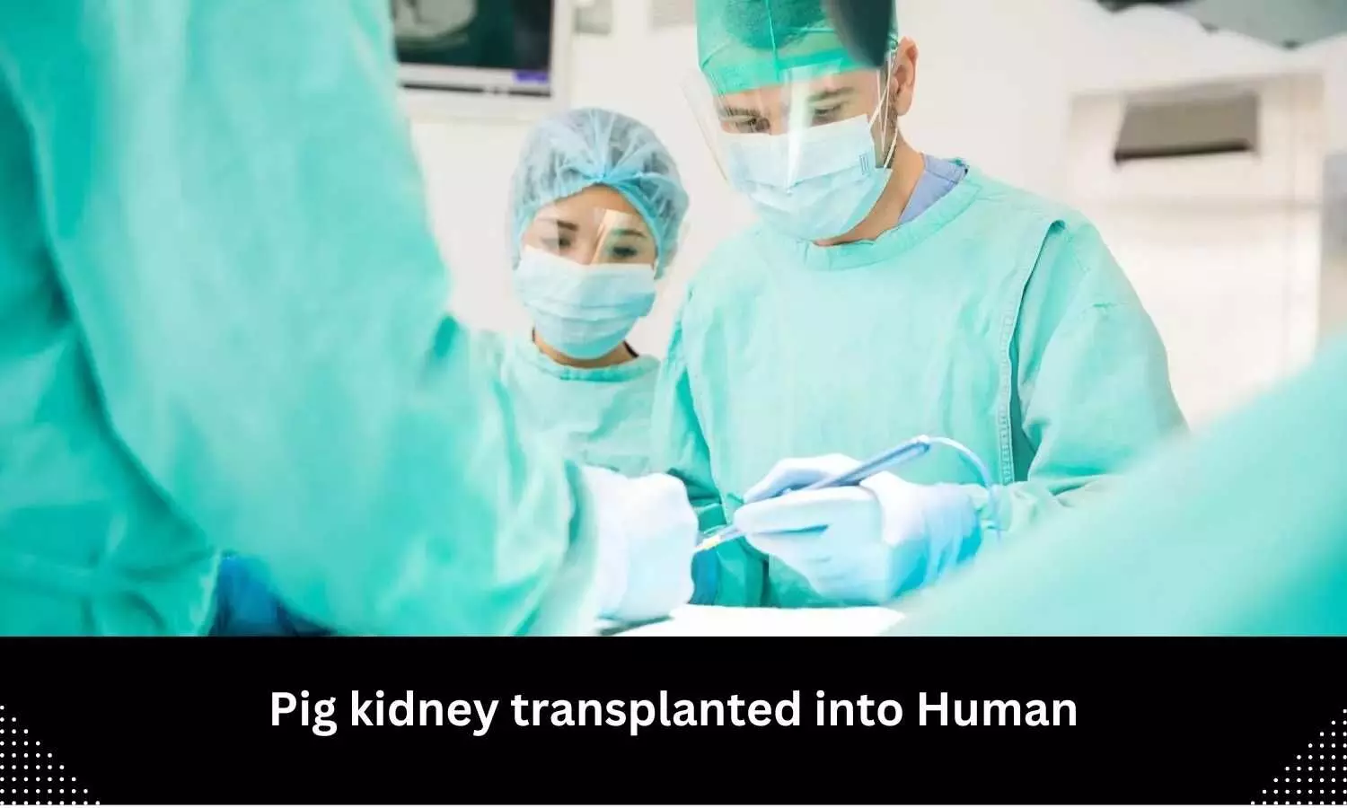 Pig kidney transplanted into human