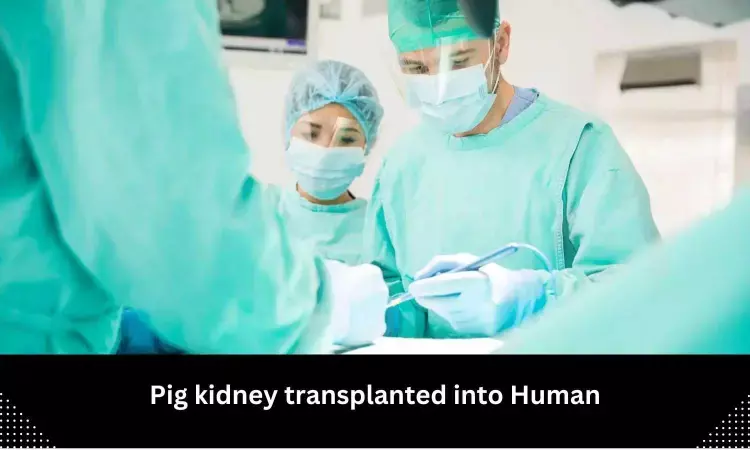 Living recipient receives Worlds first genetically-edited pig kidney transplant at Massachusetts General Hospital