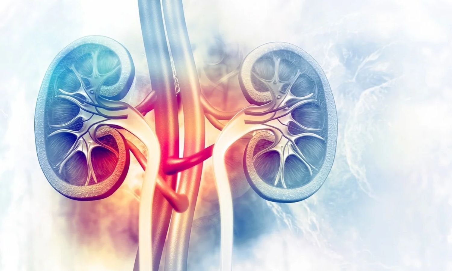217442 Contrast Induced Nephropathy 