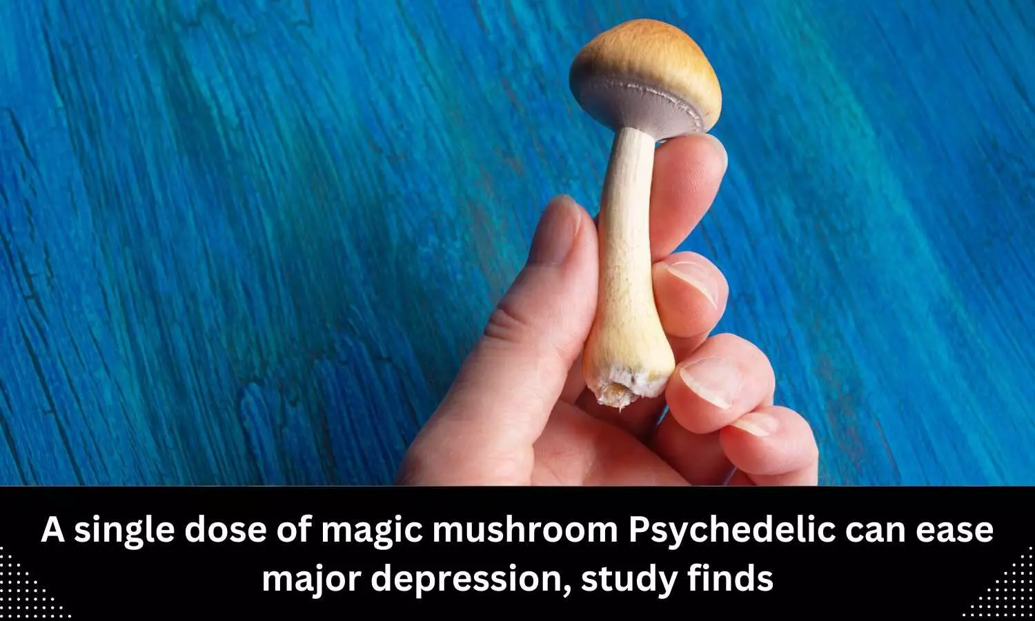 A single dose of magic mushroom Psychedelic can ease major depression: Study