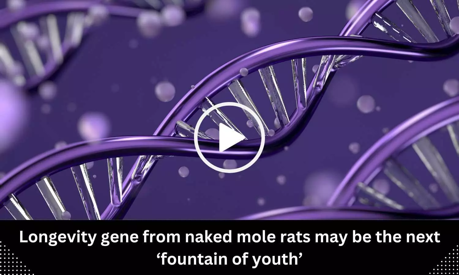 Longevity gene from naked mole rats may be the next fountain of youth