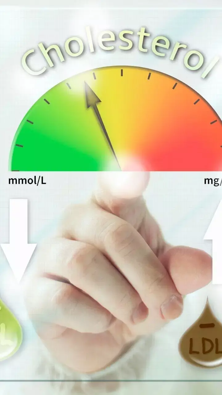 6 Cholesterol-lowering Foods You Should Include In Your Diet