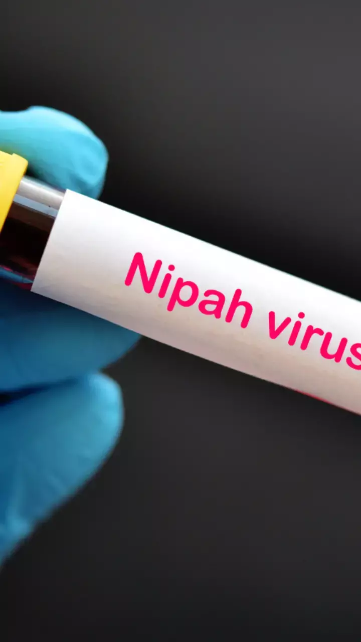 Nipah Virus In Kerala: What You Need To Know