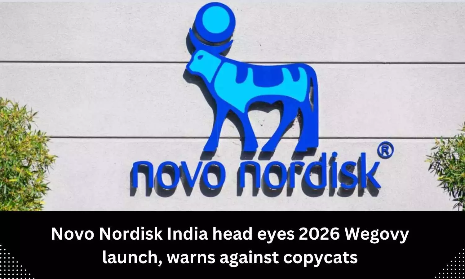 Novo Nordisk India head eyes 2026 weight-loss drug Wegovy launch