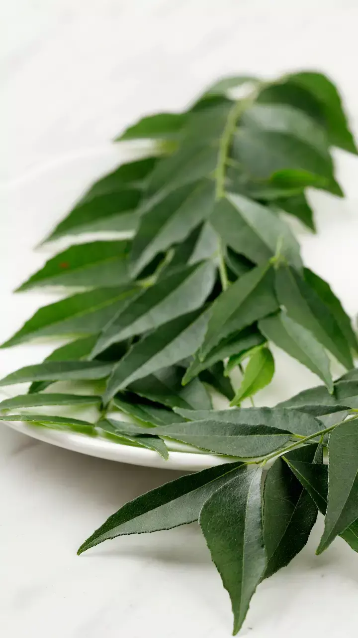 6 Tips Kadi Patta to Reduce Extra Belly Fat