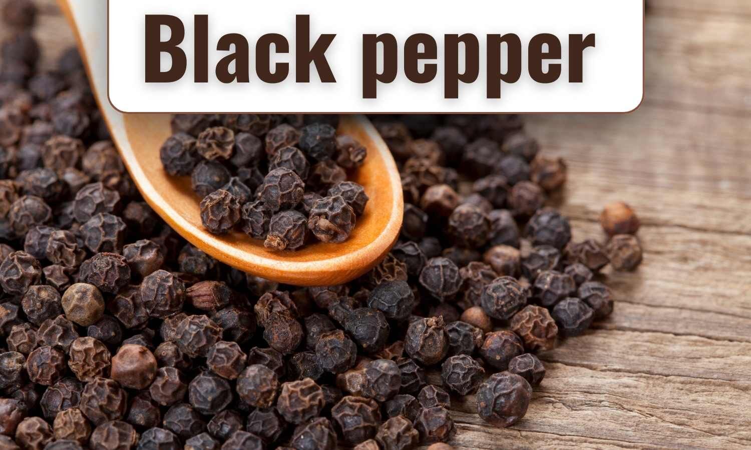 https://medicaldialogues.in/h-upload/2023/10/16/222968-black-pepper.jpg