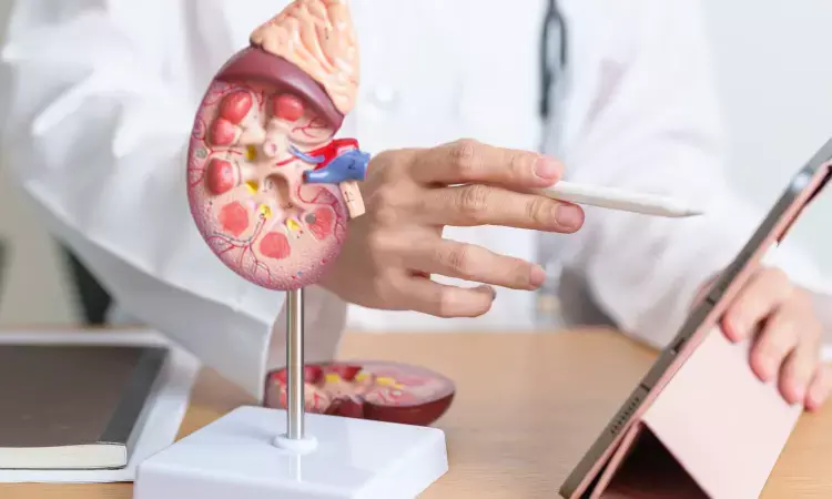 Low levels of Vitamin D among Kidney stone disease patients linked to higher all-cause mortality