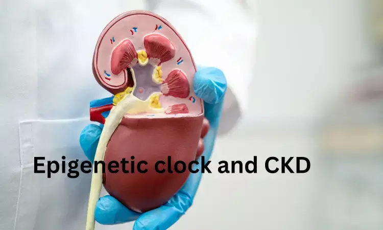 Epigenetic clock indicates that kidney transplantation and not dialysis mitigates effects of renal ageing