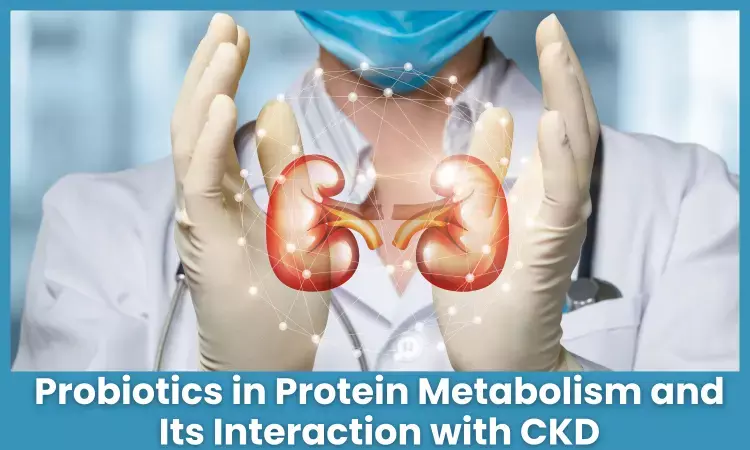 Considering Probiotic in CKD: Exploring Complementary Effect on Protein Metabolism