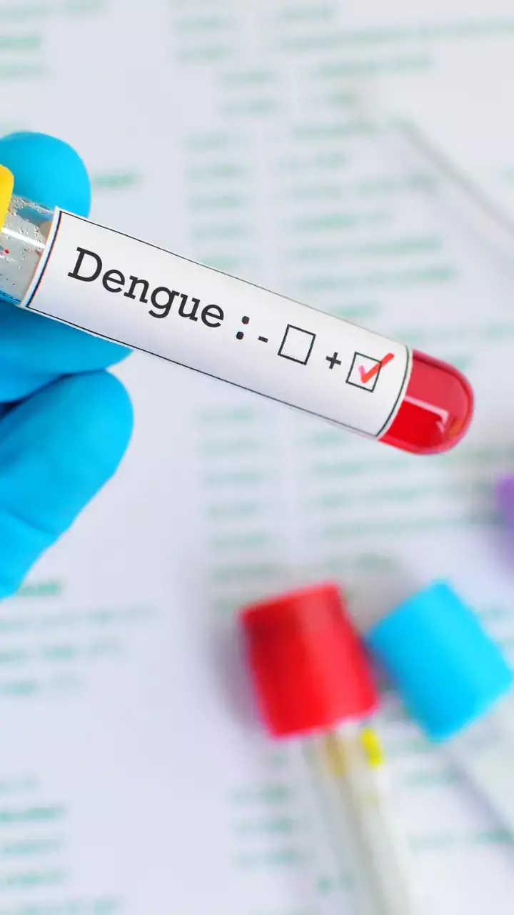 5 Ayurvedic Products And Treatments That Can Help Dengue Patients Recover More Quickly