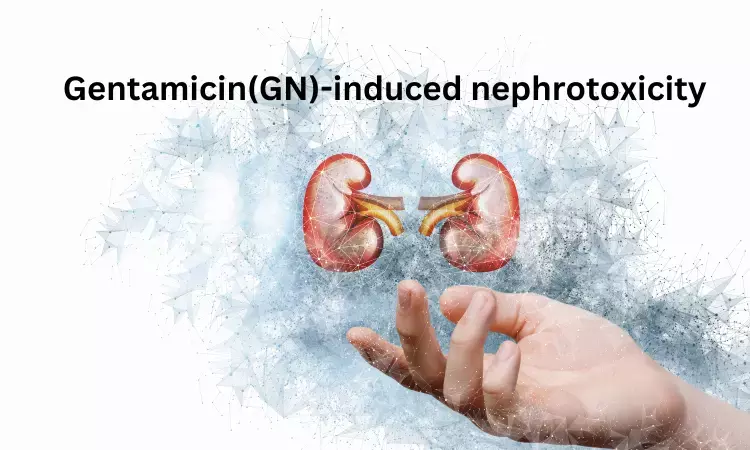 Vitamin E and silymarin may protct against gentamicin-induced oxidative stress and nephrotoxicity