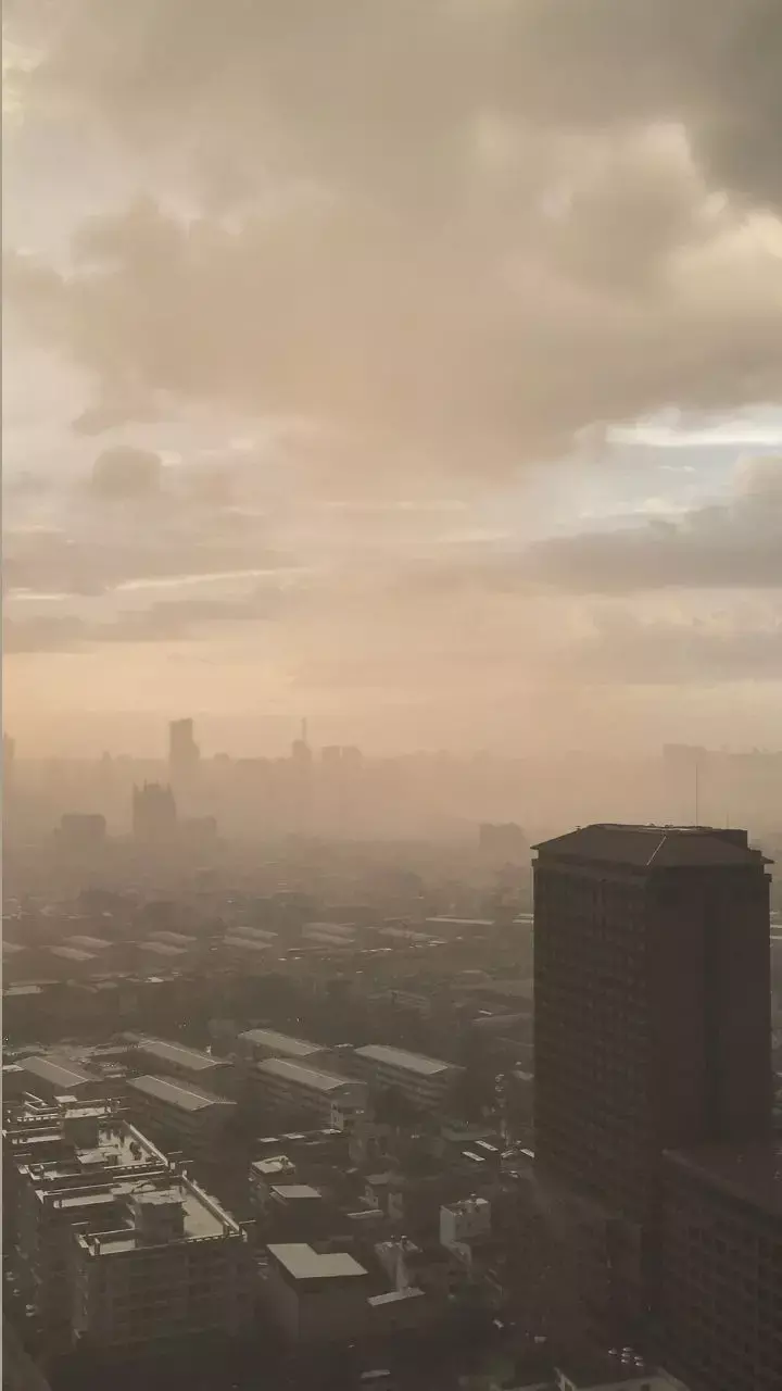 Six Strategies To Guard Against Air Pollution