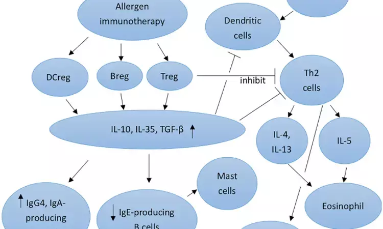 Intratonsillar Immunotherapy found efficacious in Allergic Rhinitis