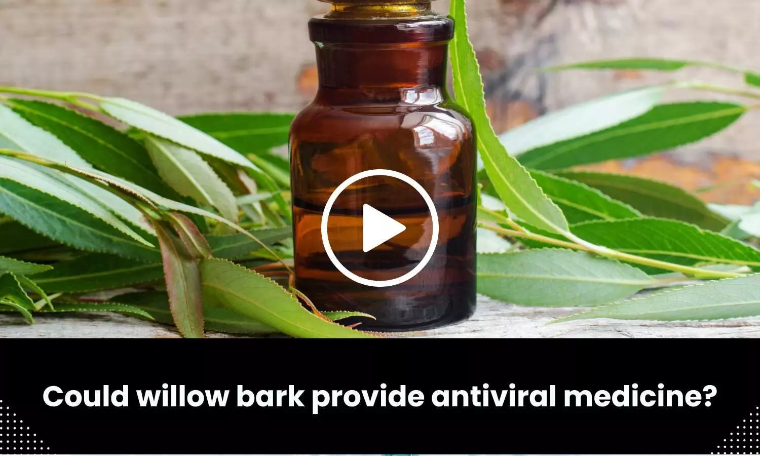 Could willow bark provides antiviral medicine?