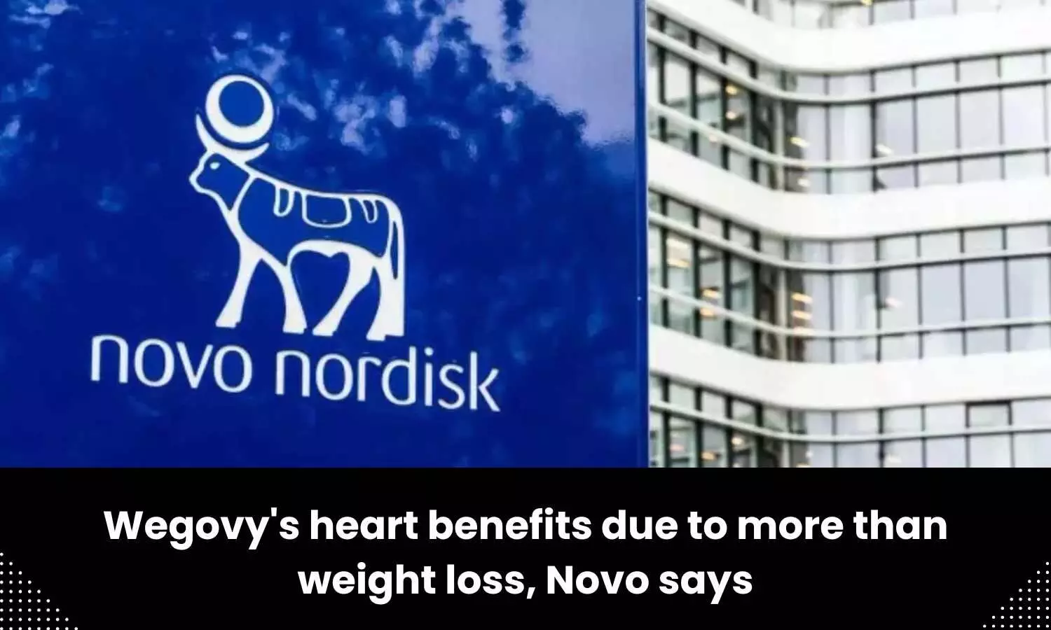 Wegovys heart benefits due to more than weight loss: Novo Nordisk