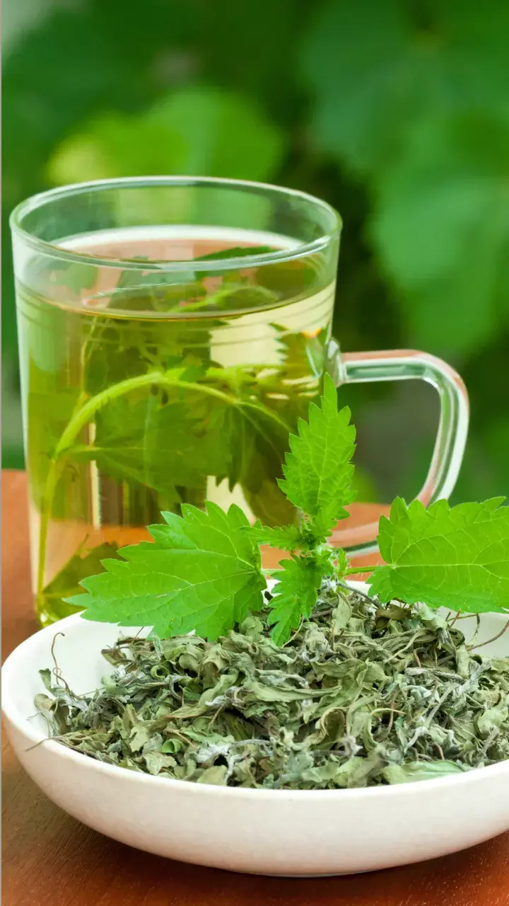 6 Health Benefits Of Drinking Nettle Tea