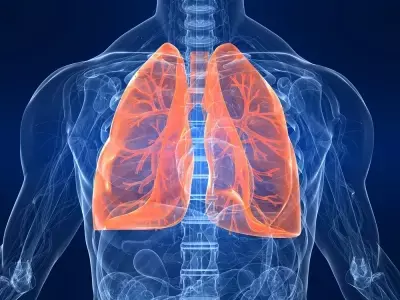 Zinc deficiency promotes Acinetobacter lung infection, suggests study