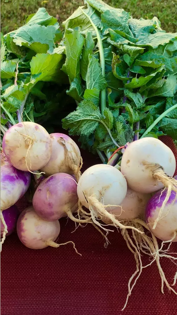 7 Benefits Of Eating Turnips During Winters