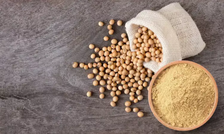 Soy Protein useful alternative to animal protein for athletes for maintaining exercise performance