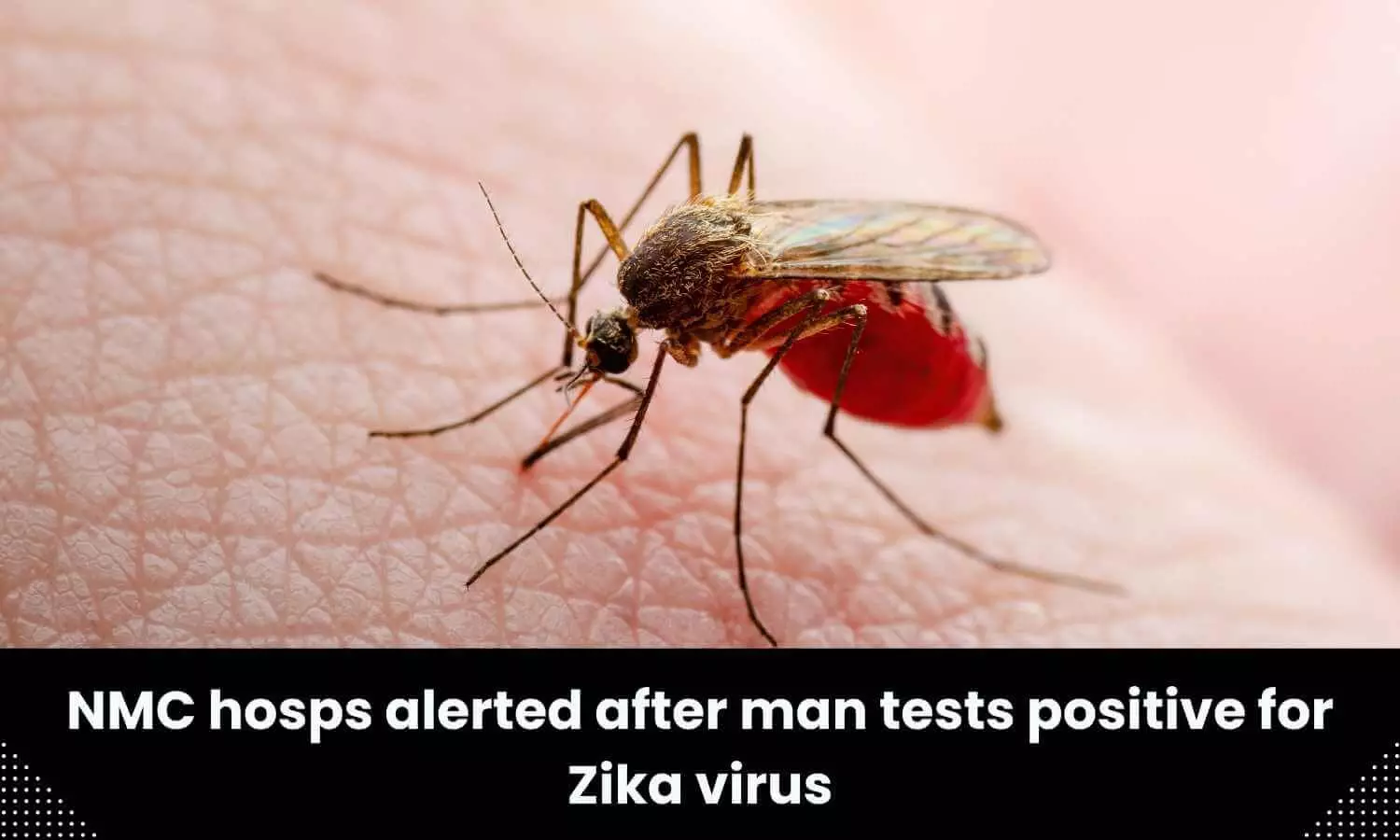 Nashik Municipal Corporation alerts hospitals after person tests Zika virus positive