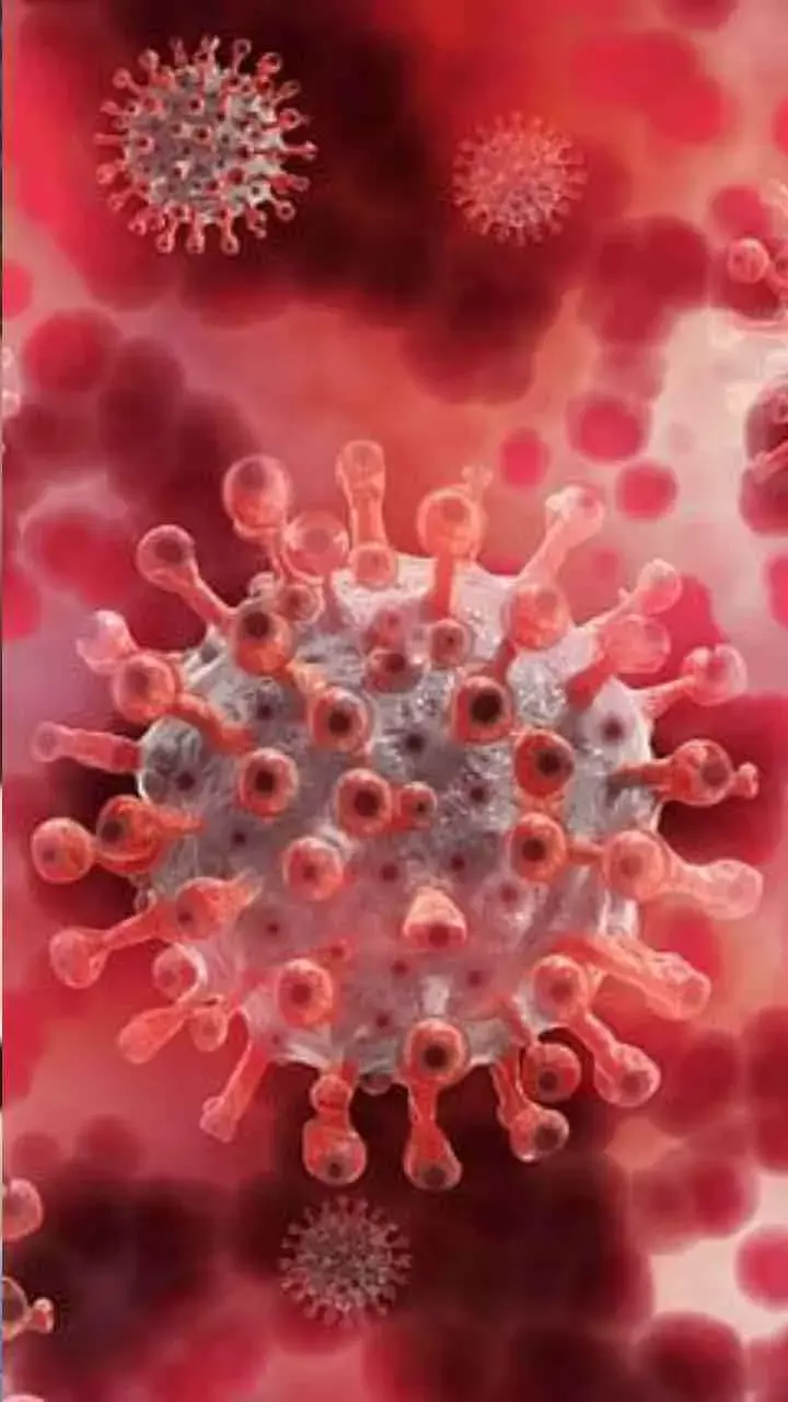 Covid Subvariant JN.1: Know Symptoms And Caution Advice By Doctors