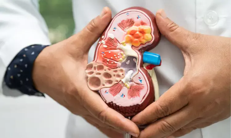 Gut microbiota dysbiosis tied to progression of chronic kidney disease