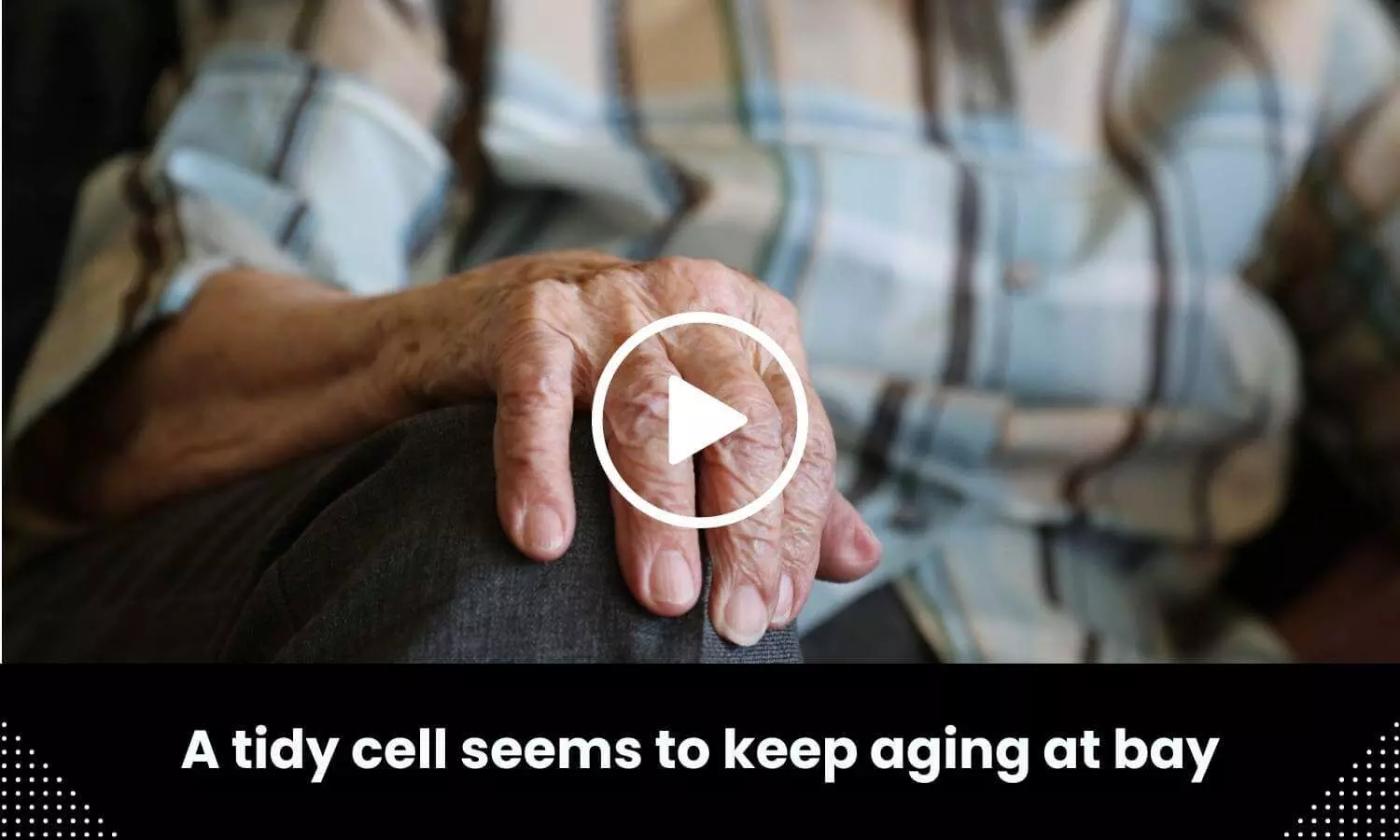 A tidy cell seems to keep aging at bay