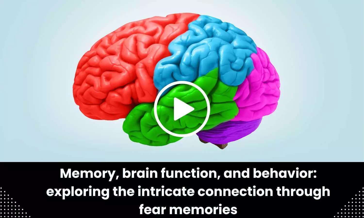 Memory, brain function, and behavior: exploring the intricate connection through fear memories
