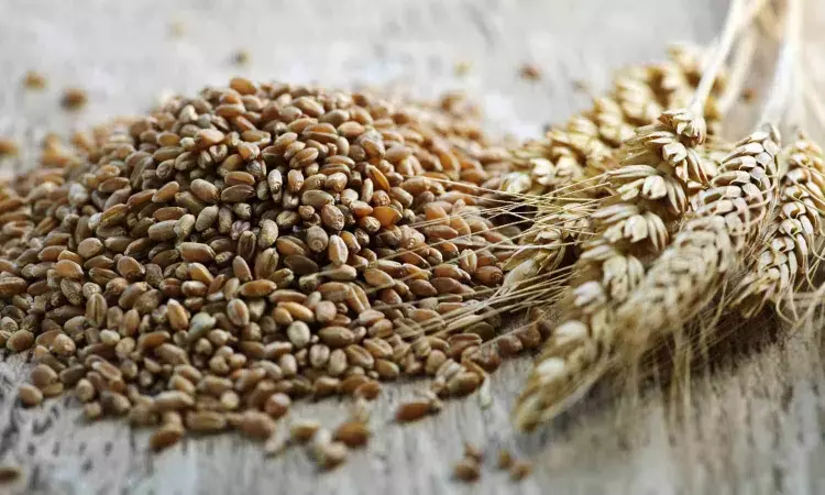 Dietary wheat to prevent CNS inflammation in multiple sclerosis