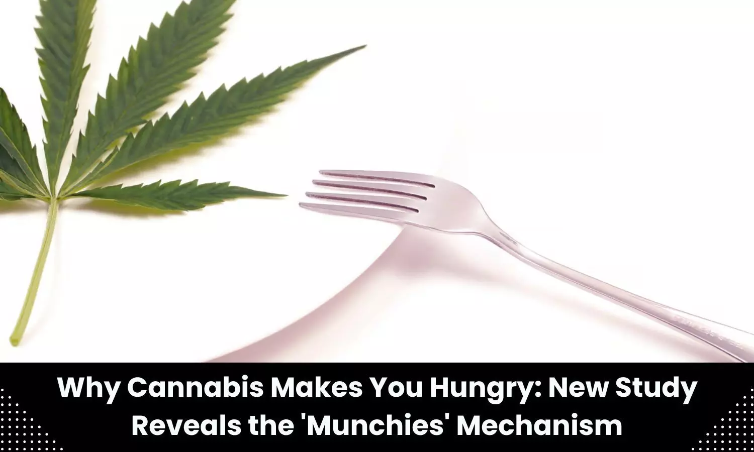 Why cannabis makes you hungry: New study reveals Munchies mechanism