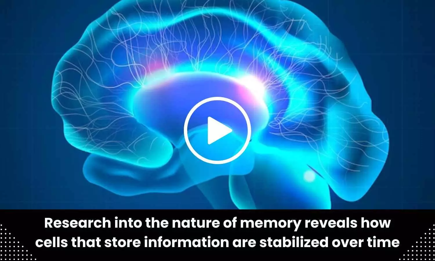 Research into the nature of memory reveals how cells that store information are stabilized over time