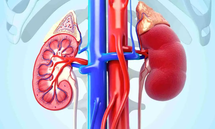 A new drug candidate can shrink kidney cysts