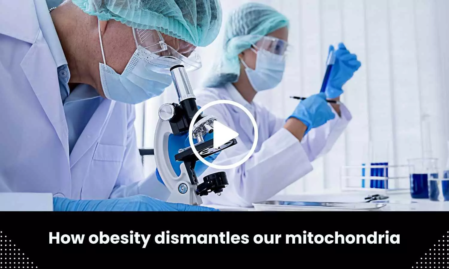 Obesity dismantles our mitochondria, here is the answer