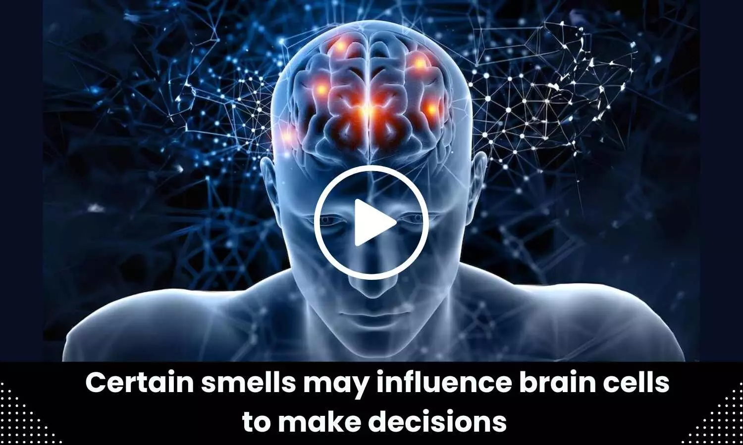 Certain smells may influence brain cells to make decisions