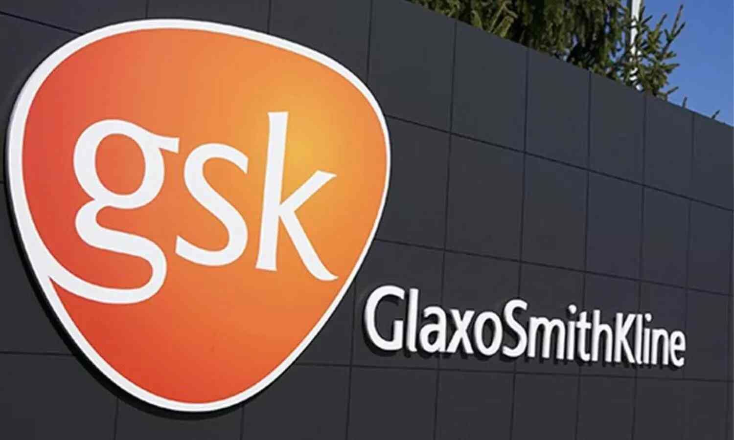 USFDA accepts for review application for GSK Blenrep combinations for ...