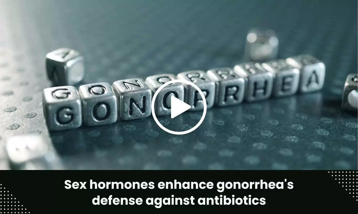 Sex hormones enhance gonorrheas defense against antibiotics